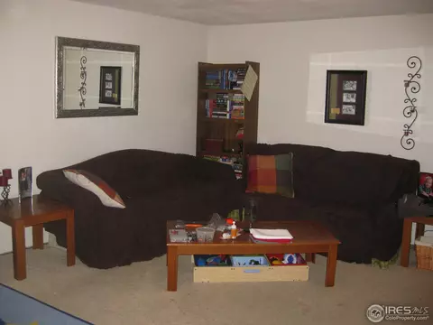 3209 Pheasant St, Evans, CO 80620 photo 13