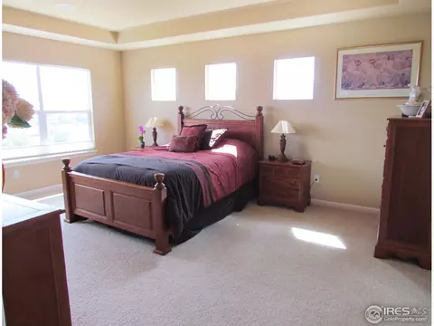 8303 Beech St, Arvada, CO 80005 photo 10