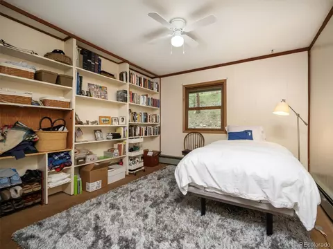 3159 County Road 72, Bailey, CO 80421 photo 18
