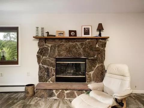 3159 County Road 72, Bailey, CO 80421 photo 9