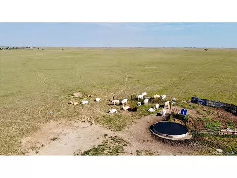 Shear Rd, Rush, CO 80833