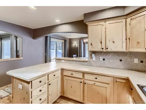 451 Sundance Dr, Windsor, CO 80550 photo 9