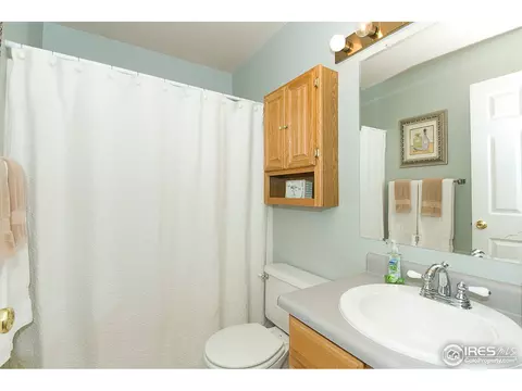 506 Mallard Dr, Severance, CO 80550 photo 11