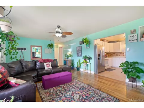 215 10th St, Windsor, CO 80550 photo 3