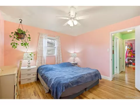 215 10th St, Windsor, CO 80550 photo 11