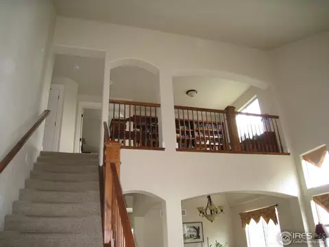 671 Yukon Ct, Windsor, CO 80550 photo 9