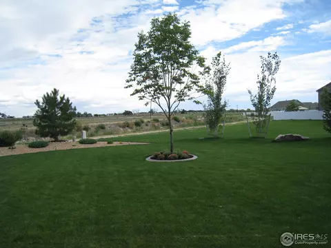 671 Yukon Ct, Windsor, CO 80550 photo 24