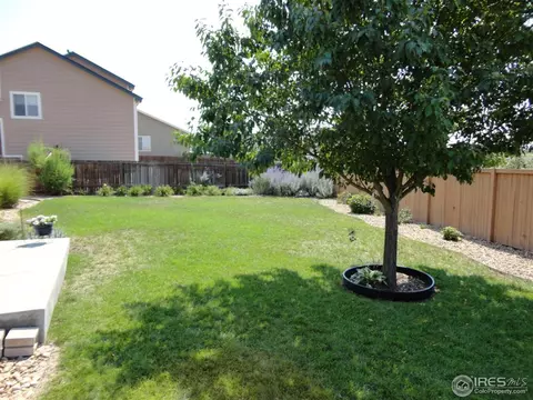 6102 Ulysses Ave, Firestone, CO 80504 photo 4