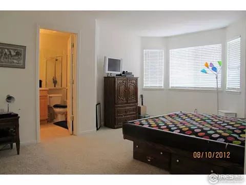 9850 E 151st Pl, Brighton, CO 80602 photo 11