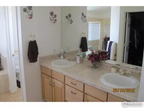 9850 E 151st Pl, Brighton, CO 80602 photo 16