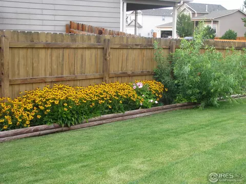 614 Keystone Dr, Severance, CO 80550 photo 22
