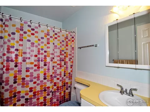 1006 Glacier Ct, Windsor, CO 80550 photo 19