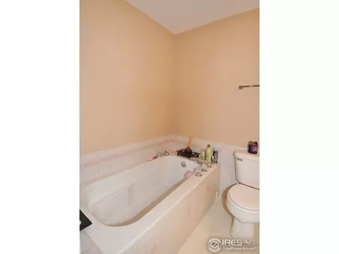 1006 Glacier Ct, Windsor, CO 80550 photo 17