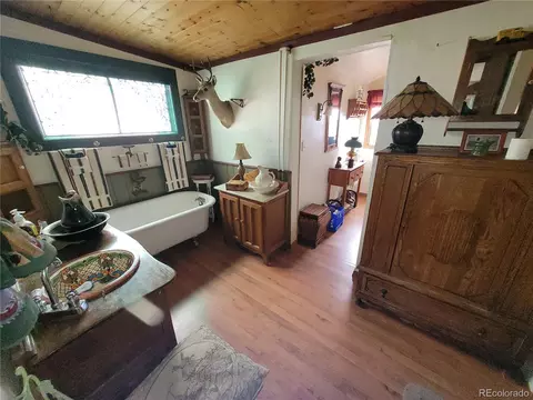 616 Gunnison St, Hartsel, CO 80449 photo 5