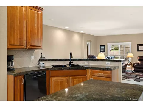 22166 E Chestnut Pl, Aurora, CO 80016 photo 28