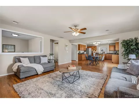 Living - 21518 E 48th Pl, Denver, CO 80249 photo 2 of 4