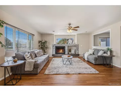 Living - 21518 E 48th Pl, Denver, CO 80249 photo 3 of 4