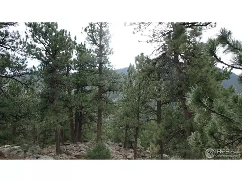 1835 Kiowa Rd, Lyons, CO 80540 photo 21