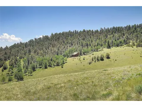 1194 Nesterville Rd, Cotopaxi, CO 81223