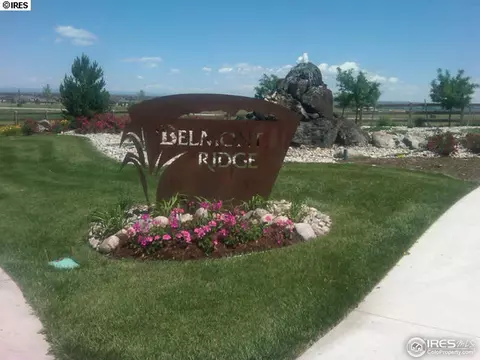 5223 Hialeah Dr, Windsor, CO 80550 photo 4