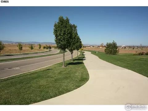 5223 Hialeah Dr, Windsor, CO 80550 photo 8