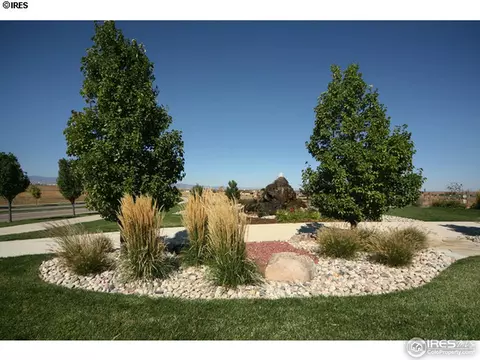 5223 Hialeah Dr, Windsor, CO 80550 photo 7