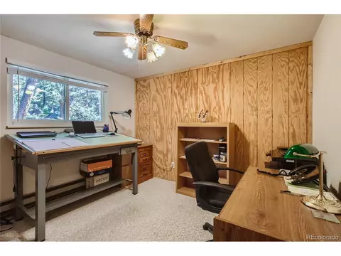 30907 Witteman Rd, Conifer, CO 80433 photo 22