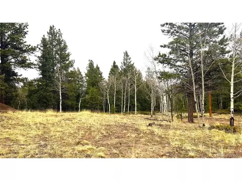 1 Russell Gulch Rd, Central City, CO 80427