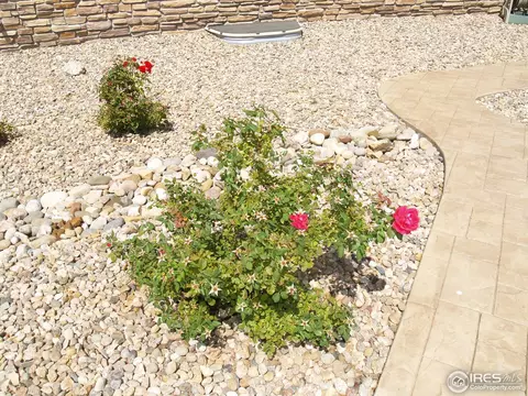 25221 E Ottawa Dr, Aurora, CO 80016 photo 24
