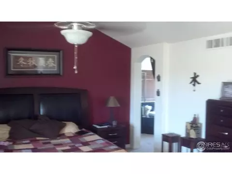 4573 Meadowlark Dr, Windsor, CO 80550 photo 12