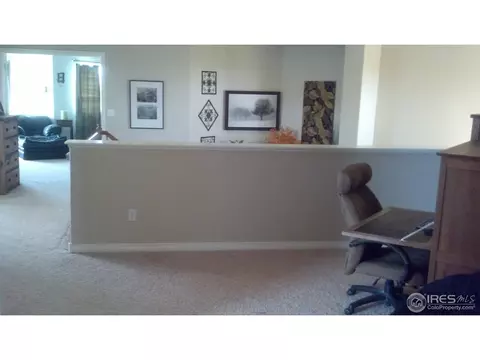 4573 Meadowlark Dr, Windsor, CO 80550 photo 11
