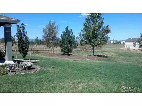 4573 Meadowlark Dr, Windsor, CO 80550 photo 23