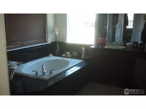 4573 Meadowlark Dr, Windsor, CO 80550 photo 17