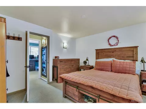 101 Louis Rd, Bailey, CO 80421 photo 32