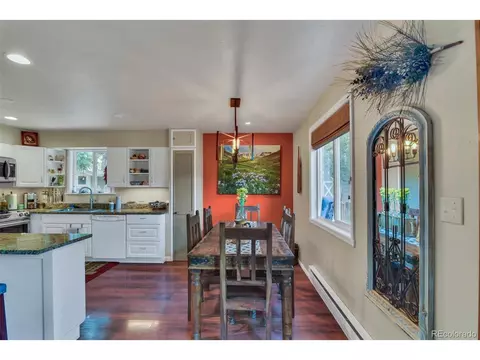 101 Louis Rd, Bailey, CO 80421 photo 22