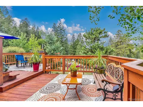 101 Louis Rd, Bailey, CO 80421 photo 36