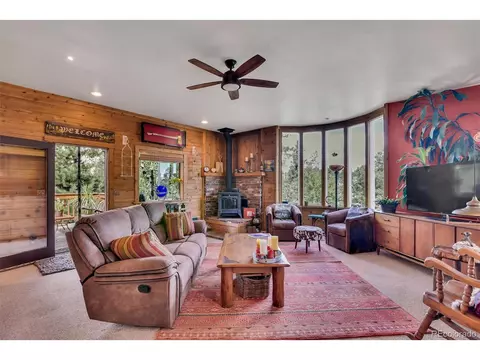 101 Louis Rd, Bailey, CO 80421 photo 11