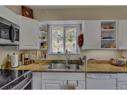 101 Louis Rd, Bailey, CO 80421 photo 26