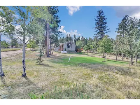 101 Louis Rd, Bailey, CO 80421 photo 6