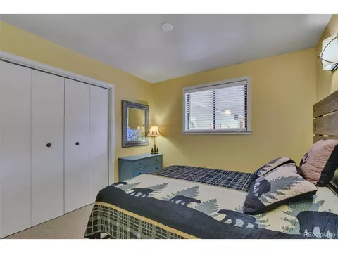 101 Louis Rd, Bailey, CO 80421 photo 29