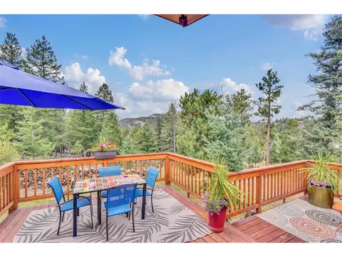 101 Louis Rd, Bailey, CO 80421 photo 35