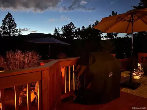 101 Louis Rd, Bailey, CO 80421 photo 41