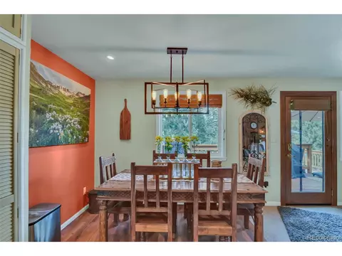 101 Louis Rd, Bailey, CO 80421 photo 21