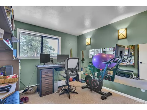 101 Louis Rd, Bailey, CO 80421 photo 30