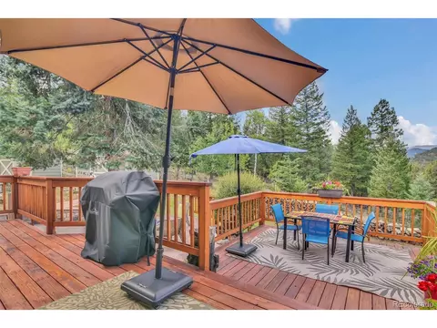 101 Louis Rd, Bailey, CO 80421 photo 34