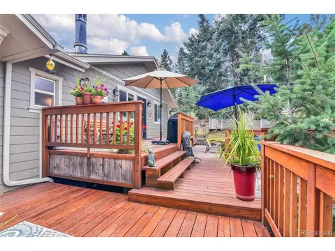 101 Louis Rd, Bailey, CO 80421 photo 37