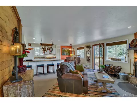 101 Louis Rd, Bailey, CO 80421 photo 18