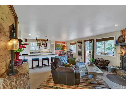 101 Louis Rd, Bailey, CO 80421 photo 17
