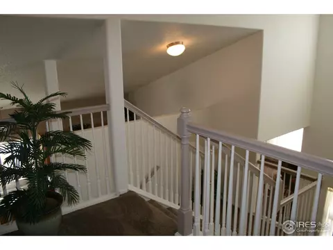 100 Arapaho St, Severance, CO 80550 photo 13
