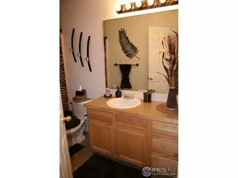 100 Arapaho St, Severance, CO 80550 photo 11